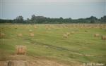 Hungarian agricultural landscape