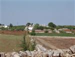 Italian agricultural landscape
