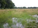 Dutch agricultural landscape