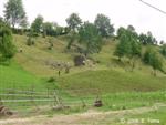 Romanian agricultural landscape