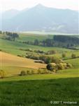 Slovakian agricultural landscape